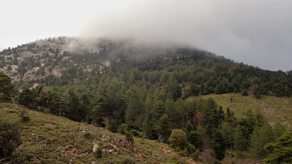 ΒΑ Πάρνηθα - Κυκλική διαδρομή