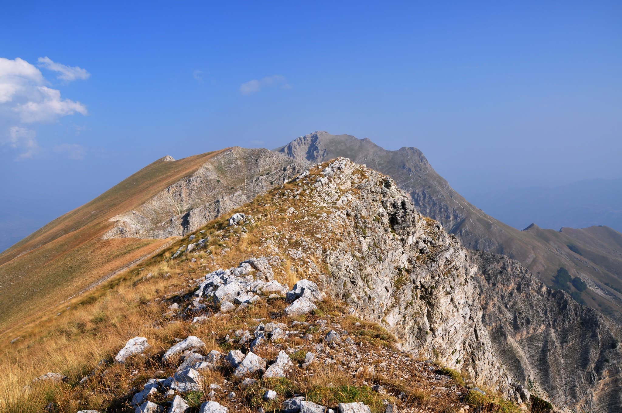 Νεμέρτσικα (Δούσκος)